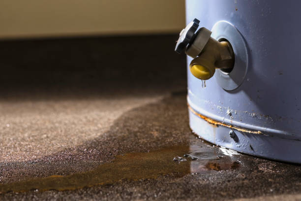 Best Flood restoration services  in Fruitland, ID