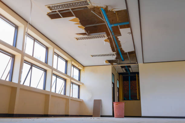 Best Water damage cleanup near me  in Fruitland, ID