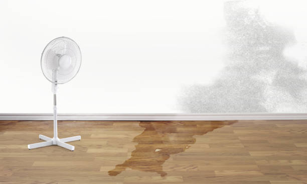 Best Local water damage restoration  in Fruitland, ID
