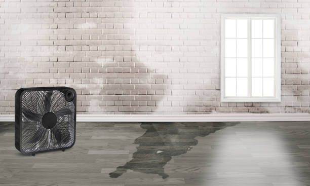 Best 24/7 water damage repair  in Fruitland, ID