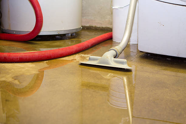 Sewage cleanup and water damage restoration in Fruitland, ID