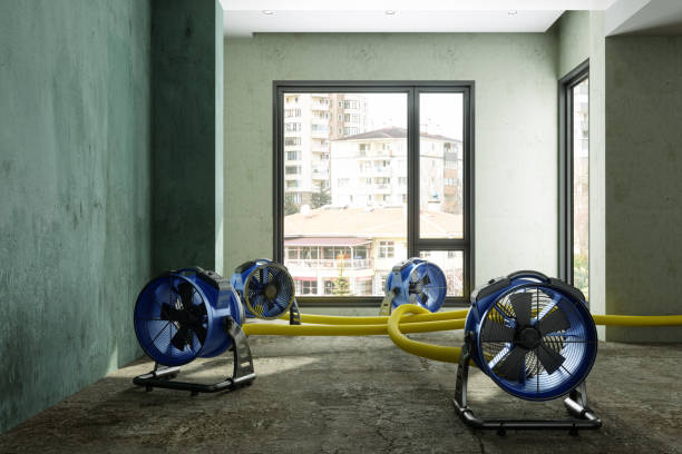Reliable Fruitland, ID Water damage restoration Solutions