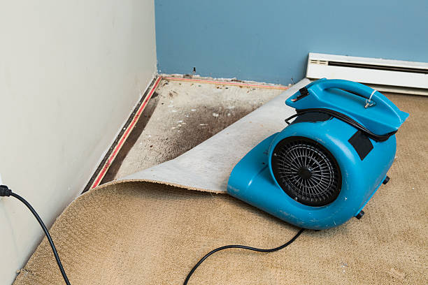 Best Water damage repair service  in Fruitland, ID